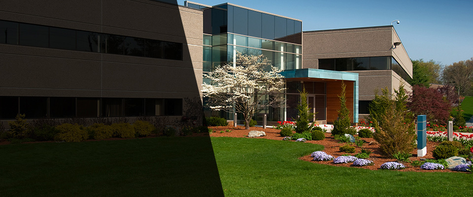 Warrenville Landscapers