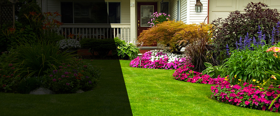 Warrenville Landscapers