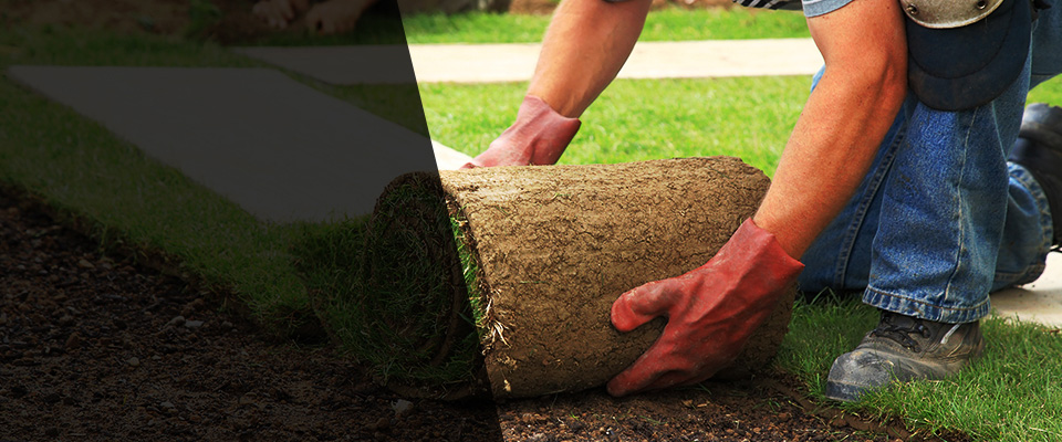 Warrenville Landscapers